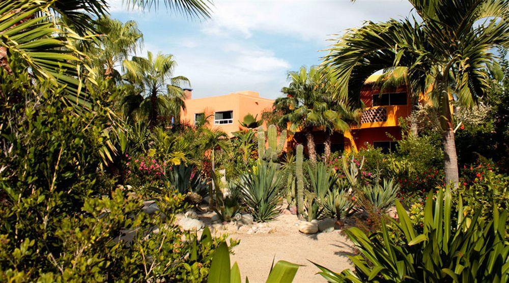 Hotel Posada La Poza Todos Santos Exterior photo