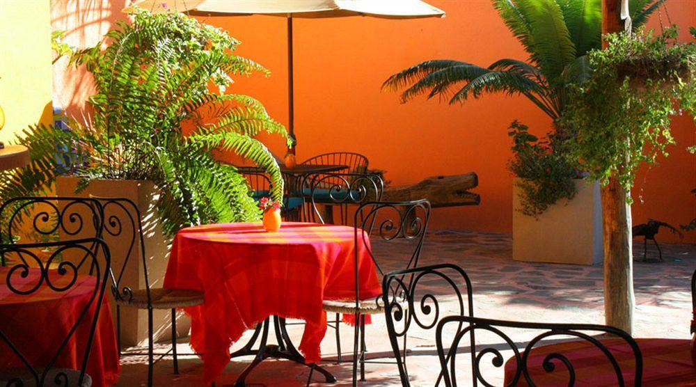 Hotel Posada La Poza Todos Santos Exterior photo
